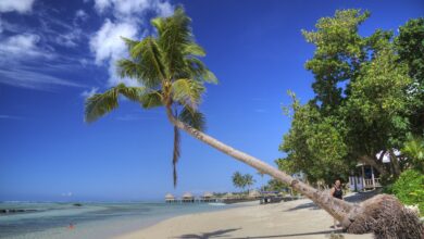 samoa 213157 1280