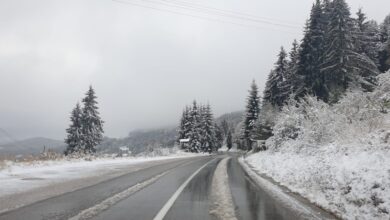 1602571376prijepolje jabuka prvi sneg fotorina2