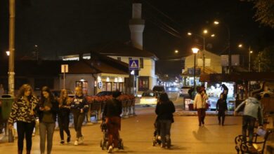 IMG 8574 725x483