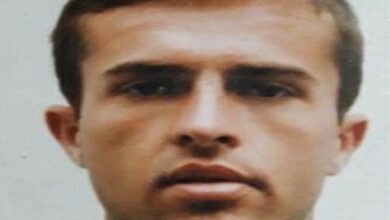 naselj vucelj