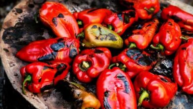 pecena paprika 696x469
