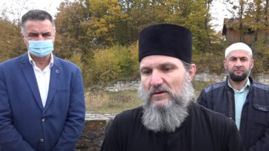 tzjztjtj