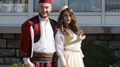 IMG 4589 1024x683