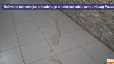 zjzthjutzhtz