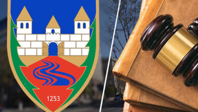 opstina sjenica upravni sud