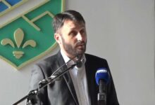 zaim redzepovic 11 696x469