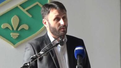 zaim redzepovic 11 696x469