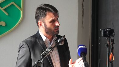 zaim redzepovic